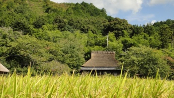 京都・嵐山、田圃と茅葺の家の風景